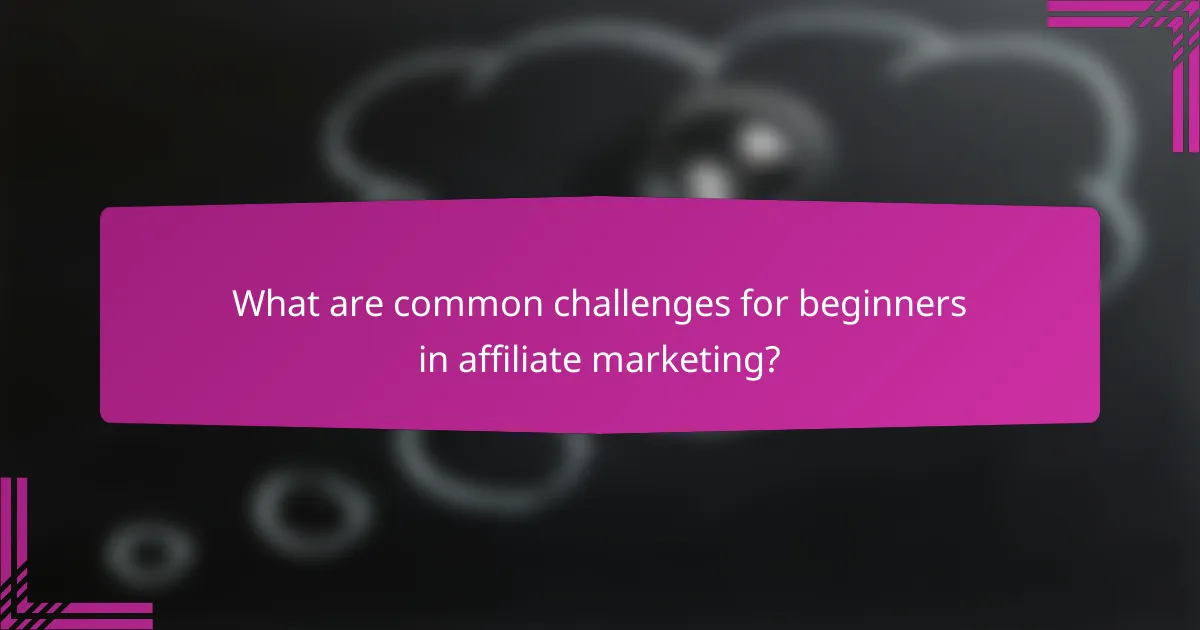 What are common challenges for beginners in affiliate marketing?