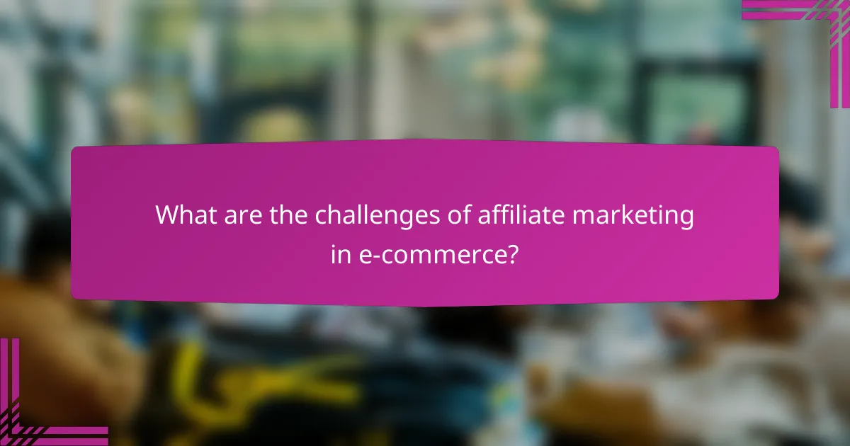 What are the challenges of affiliate marketing in e-commerce?
